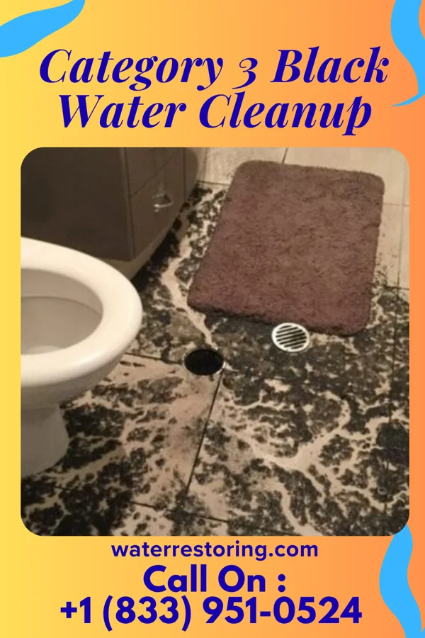 Category 3 Black Water Cleanup in Fairview, SD