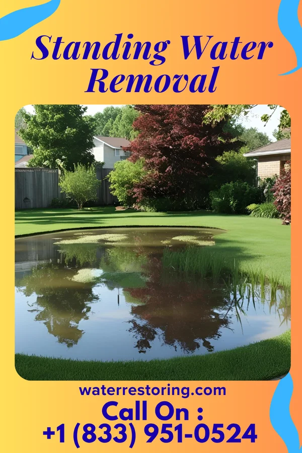 Standing Water Removal in Fairview, SD